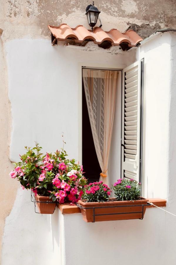Il Riccio Apartment 28 Procida Exterior foto